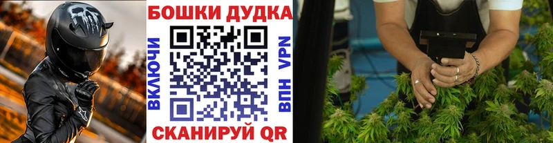 Где можно купить наркотики Купино Alpha PVP  Меф мяу мяу  ГАШ  COCAIN 