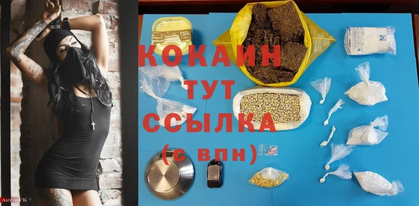 гашик Горно-Алтайск