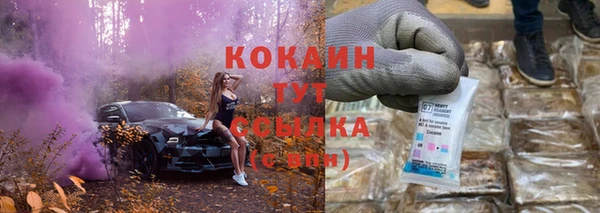 гашик Горно-Алтайск