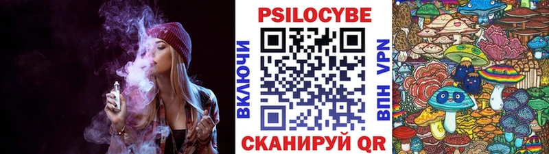 наркотики  Купино  Псилоцибиновые грибы прущие грибы 